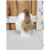 Image 6 : Coyote Fur Hat Ear Muffs & Mittens