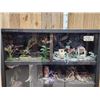 Image 12 : Taxidermy Curiosity Cabinet Includes 11 Taxidermy Mounts