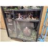Image 13 : Taxidermy Curiosity Cabinet Includes 11 Taxidermy Mounts