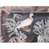 Image 4 : Taxidermy Curiosity Cabinet Includes 11 Taxidermy Mounts