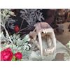 Image 6 : Taxidermy Curiosity Cabinet Includes 11 Taxidermy Mounts