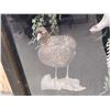 Image 7 : Taxidermy Curiosity Cabinet Includes 11 Taxidermy Mounts