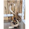 Image 2 : Cobra Snake Fighting A Mongoose Taxidermy Mount