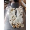 Image 4 : 2 Arctic Cross Fox Soft Tanned Furs