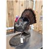 Image 6 : Strutting Turkey Full Body Bird Taxidermy