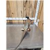 Image 4 : Ringneck Pheasant Full Body Bird Taxidermy