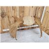 Image 4 : 54" Wide Moose Antlers On Plaque