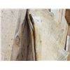 Image 6 : 52" Wide Moose Antlers On Plaque