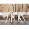 Image 6 : Heavy Mass Main Frame 4x4 Whitetail Shed Antlers