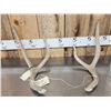 Image 1 : Big Set Of 2x2 Mule Deer Shed Antlers
