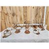 Image 1 : 12 Sets Of Whitetail Antlers
