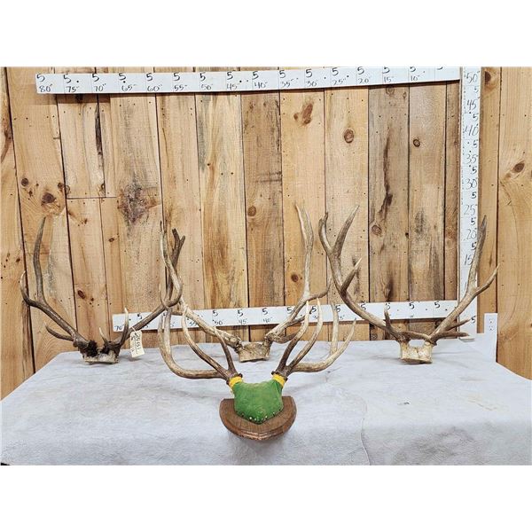 4 Sets Of Elk Antlers