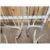 Image 3 : 14.4 Lbs Of Whitetail Shed Antlers
