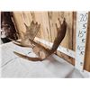 Image 2 : 34" Wide Moose Antlers On Plaque