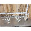 Image 1 : Group Of 5 Whitetail Shed Antlers