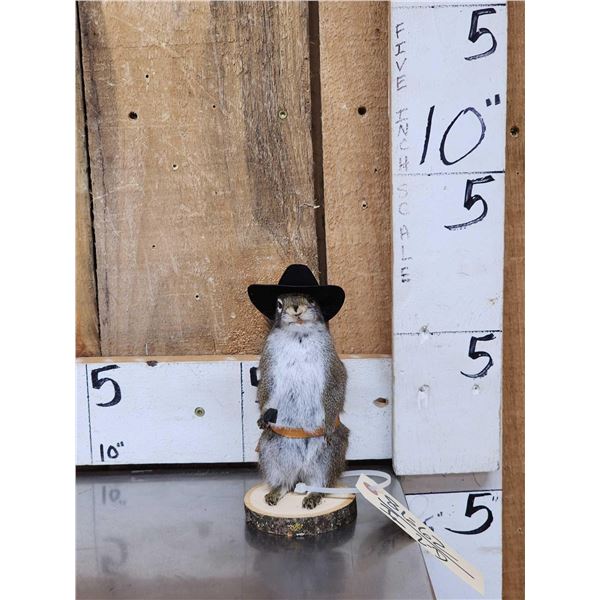 Sheriff Squirrel Taxidermy Mount