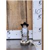 Image 1 : Sheriff Squirrel Taxidermy Mount