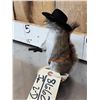 Image 3 : Sheriff Squirrel Taxidermy Mount