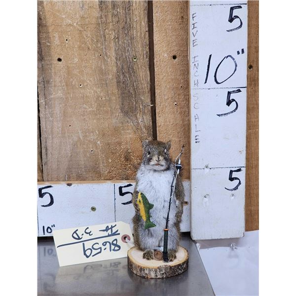 Fishing Squirrel Full Body Taxidermy Mount