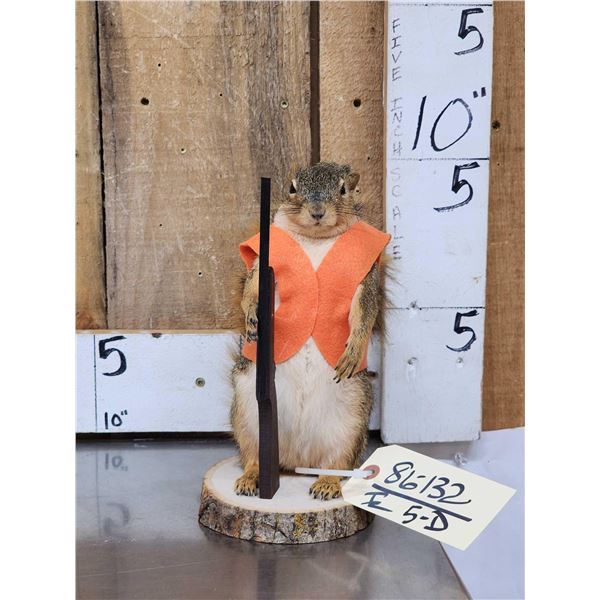 Hunting Squirrel Full Body Taxidermy Mount