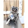 Image 1 : Naughty Raccoon Full Body Taxidermy Mount