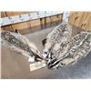 Image 3 : 3 Badger Soft Tanned Furs Taxidermy