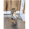 Image 5 : Three Cute Critters Taxidermy Lot