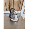 Image 8 : Three Cute Critters Taxidermy Lot