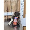 Image 1 : Raccoon Eating Cracker Jacks Taxidermy Mount