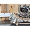 Image 2 : 2 Raccoons In A Birch Bark Canoe Taxidermy