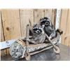 Image 3 : 2 Raccoons In A Birch Bark Canoe Taxidermy