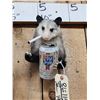 Image 2 : Naughty Opossum Shoulder Mount Taxidermy