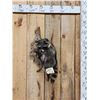 Image 1 : Raccoon Hanging On Driftwood Taxidermy Mount