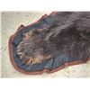 Image 10 : Black Bear Rug Taxidermy