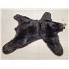 Image 11 : Black Bear Rug Taxidermy