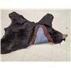 Image 12 : Black Bear Rug Taxidermy