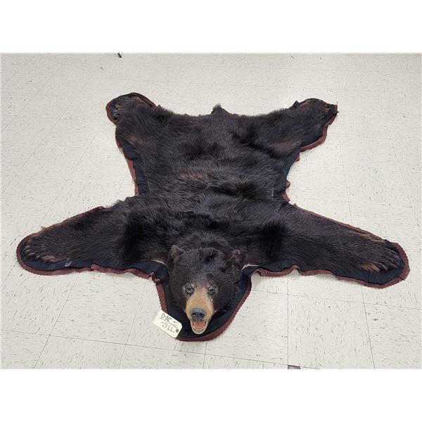 Black Bear Rug Taxidermy