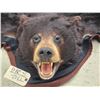 Image 2 : Black Bear Rug Taxidermy