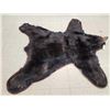 Image 5 : Black Bear Rug Taxidermy