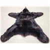 Image 6 : Black Bear Rug Taxidermy