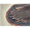 Image 7 : Black Bear Rug Taxidermy