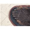 Image 8 : Black Bear Rug Taxidermy