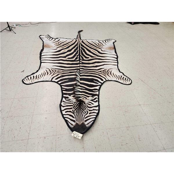Big Zebra Skin Rug Taxidermy