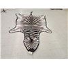 Image 1 : Big Zebra Skin Rug Taxidermy