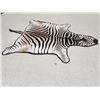 Image 2 : Big Zebra Skin Rug Taxidermy