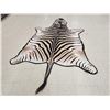 Image 3 : Big Zebra Skin Rug Taxidermy