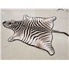 Image 4 : Big Zebra Skin Rug Taxidermy