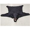 Image 1 : Nice Black Bear Rug Taxidermy