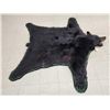 Image 2 : Nice Black Bear Rug Taxidermy