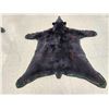 Image 3 : Nice Black Bear Rug Taxidermy